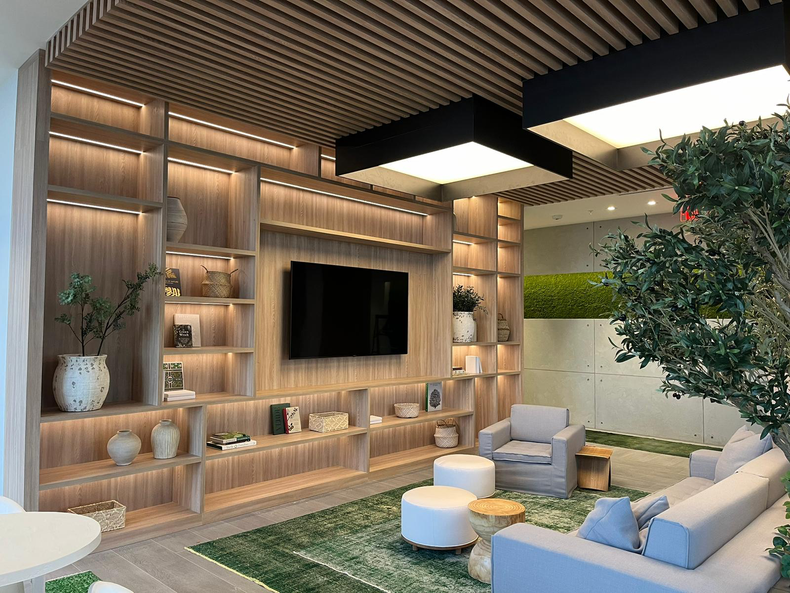 Living Room Shelving Wall